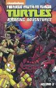 Teenage Mutant Ninja Turtles Amazing Adventures, Volume 3