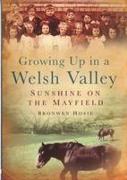 Growing Up in a Welsh Valley: Sunshine on the Mayfield