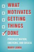 What Motivates Getting Things Done