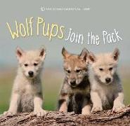 WOLF PUPS JOIN THE PACK