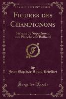 Figures des Champignons