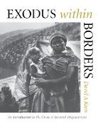 Exodus within Borders