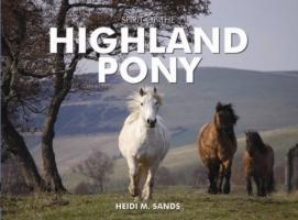 Spirit of the Highland Pony