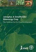 Jatropha: A Smallholder Bioenergy Crop: The Potential for Pro-Poor Development