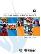Developing National Action Plans Against Racial Discrimination: A Practical Guide