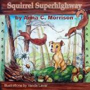 Squirrel Superhighway