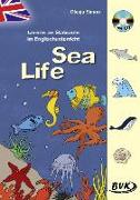 Lernen an Stationen im Englischunterricht: Sea Life (inkl. CD)