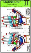 Reflexzonen Indikationen -Hände- ( 4 Karten-Set ). Medizinische Taschen-Karte