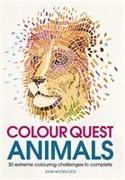 Colour Quest Animals