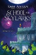 School for Skylarks