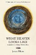 What Heaven Looks Like: Comments on a Strange Wordless Book