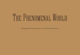 The phenomenal World