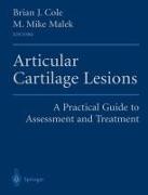 Articular Cartilage Lesions