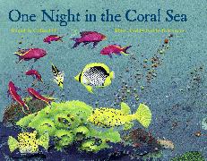 One Night in the Coral Sea