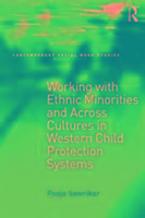 Working with Ethnic Minorities and Across Cultures in Western Child Protection Systems