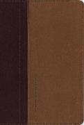 NIV, Quest Study Bible, Leathersoft, Burgundy/Tan, Indexed