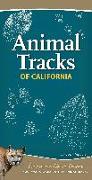 Animal Tracks of California: Your Way to Easily Identify Animal Tracks