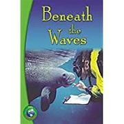 Rigby Infoquest: Leveled Reader Bookroom Package Nonfiction (Levels Q-T) Beneath the Waves