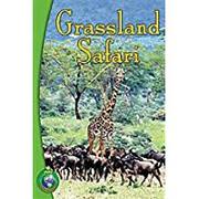 Rigby Infoquest: Leveled Reader Bookroom Package Nonfiction (Levels Q-T) Grassland Safari