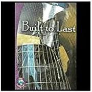 Rigby Infoquest: Leveled Reader Bookroom Package Nonfiction (Levels W-Y) Built to Last