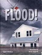 Rigby Literacy: Student Reader Bookroom Package Grade 3 (Level 19) Flood!