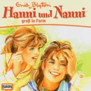 Hanni und Nanni 10: Hanni und Nanni groß in Form