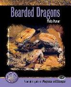 Bearded Dragons