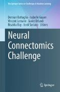 Neural Connectomics Challenge