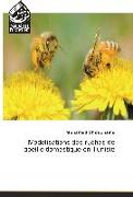 Modélisations des ruches de l¿abeille domestique en Tunisie