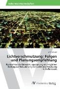 Lichtverschmutzung: Folgen und Planungsempfehlung