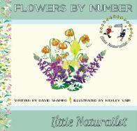 Flowers by Number