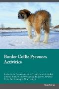 BORDER COLLIE PYRENEES ACTIVIT