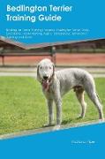 BEDLINGTON TERRIER TRAINING GD