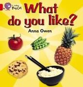 What Do You Like? Workbook