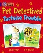 Pet Detectives: Tortoise Trouble Workbook