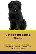 CATALAN SHEEPDOG GD CATALAN SH