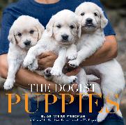 The Dogist Puppies