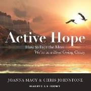 Active Hope: How to Face the Mess We're in Without Going Crazy