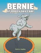 BERNIE AT DOGGY DAY CARE