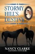 Stormy Hill's Destiny