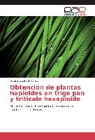 Obtención de plantas haploides en trigo pan y triticale hexaploide