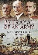 Betrayal of an Army: Mesopotamia 1914-1916