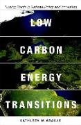 Low Carbon Energy Transitions 