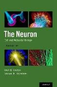 The Neuron