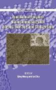 Functional Polymer Nanocomposites for Energy Storage and Conversion