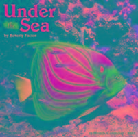 Under the Sea 2017 Wall Calendar