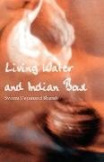 Living Water and Indian Bowl