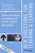 Transformative Learning and Adult Higher Education