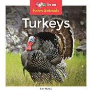 TURKEYS