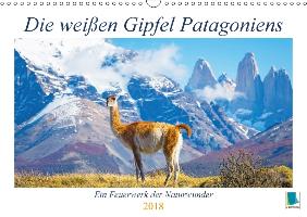 Die weißen Gipfel Patagoniens (Wandkalender 2018 DIN A3 quer)